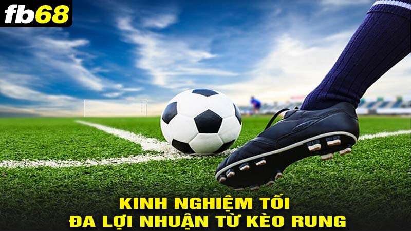 Kinh nghiệm chơi kèo rung